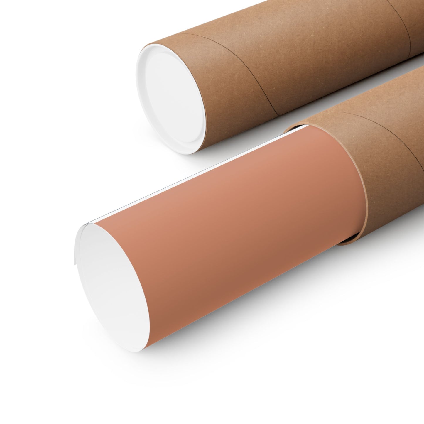 Two cardboard tubes, one brown and one white, on a white background